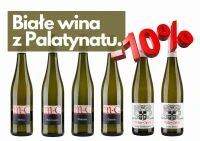 Białe wina z Palatynatu