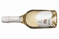 Cantina di Castelnuovo - Blanc de Blancs Spumante Brut1.jpg