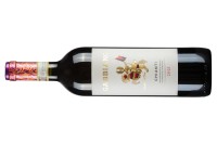 Castello_di_Gabbiano_Chianti2.jpg