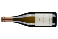 Domaine_Julien_Braud_Muscadet_Les_Vignes_du_Bourg2.jpg