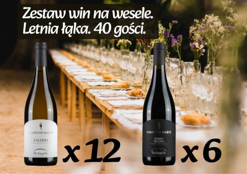 zestaw_win_na_wesele_letnia_laka_40_gosci.jpg