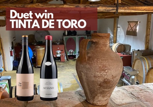duet_win_tinta_de_toro.jpg