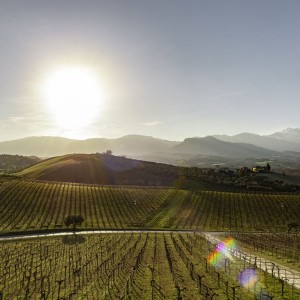 Degustacja win z Abruzji. Winnica Ciavolich. 22.05.2026