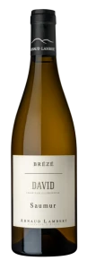 Arnaud Lambert, David, Chenin Blanc, Dolina Loary, Francja
