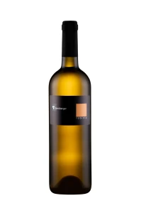 Stemberger, Robinia, Rebula, Welschriesling, Malvasia Istriana, Kras, Słowenia