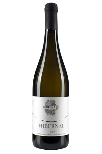 winnica_morena_hibernal