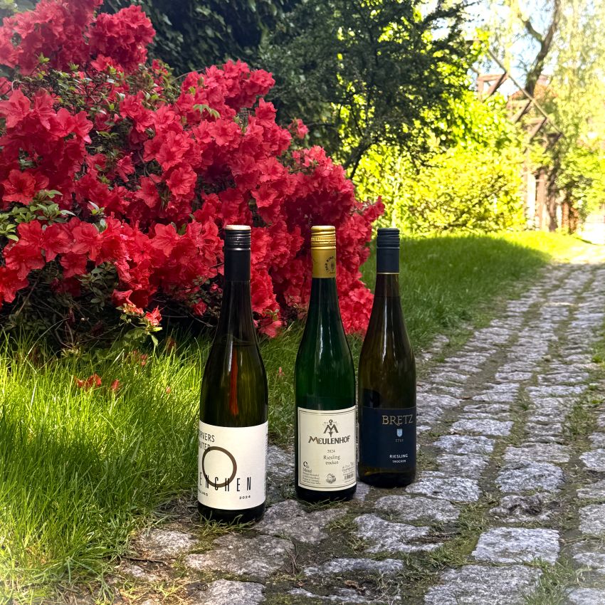 Różnice pomiędzy niemieckimi rieslingami