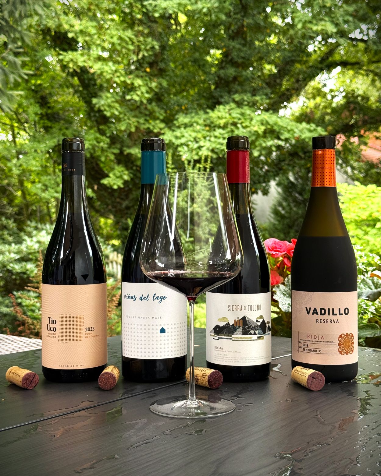 Tempranillo