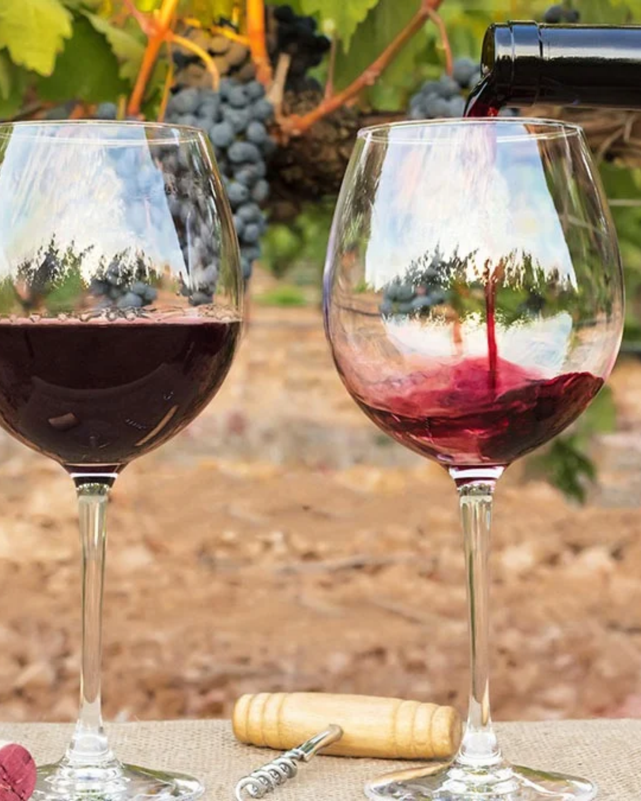 Beaujolais Nouveau – jakie przekąski podać na wieczór z przyjaciółmi?